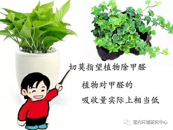 k8凯发登录 --天生赢家·一触即发