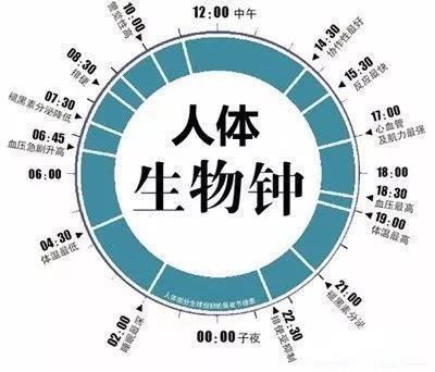 k8凯发登录 --天生赢家·一触即发