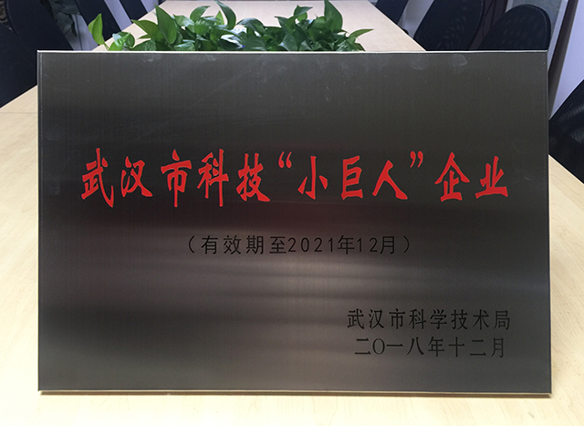k8凯发登录 --天生赢家·一触即发