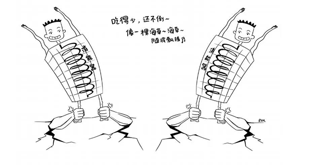 k8凯发登录 --天生赢家·一触即发