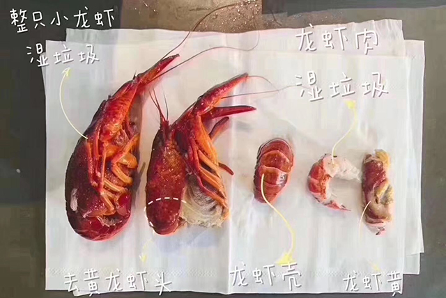k8凯发登录 --天生赢家·一触即发