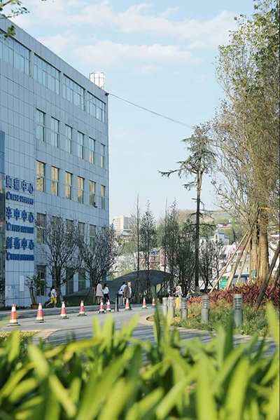 k8凯发登录 --天生赢家·一触即发