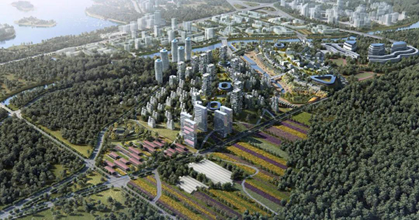 k8凯发登录 --天生赢家·一触即发